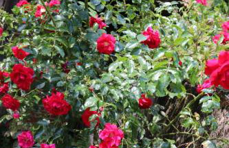 Schwoererhof - Photo 40