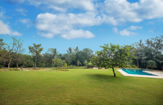 Tranquil Woods By Jade - Foto 8