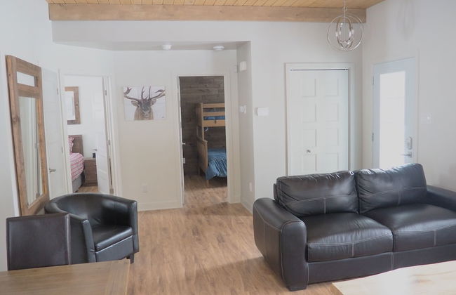 Domaine du parc de la forêt ouareau - Photo 12