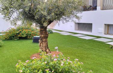 Il Gioiello a Palau - Foto 17