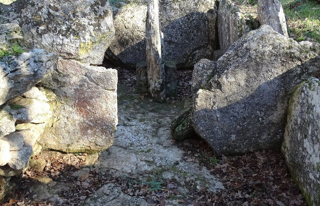 Agriturismo Bio Aia della Colonna - Foto 56