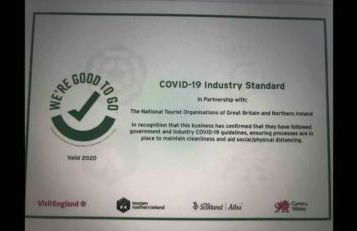 Home Comforts in Peaceful 2 Acres - Photo 4