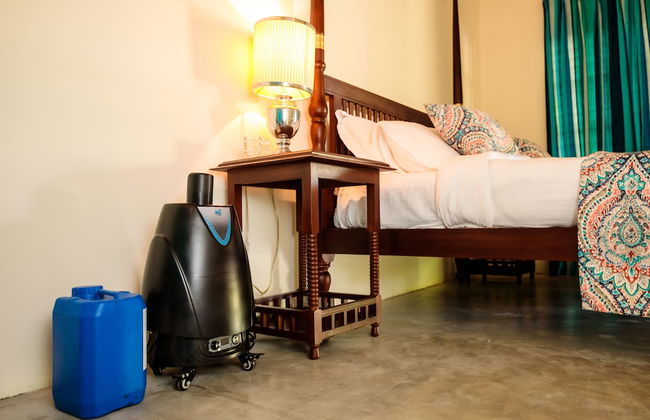 Club Mango - Photo 16