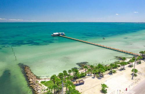 AM I Dreaming - Foto 42