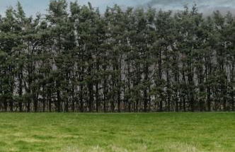 Woodhaven Stays - Foto 43