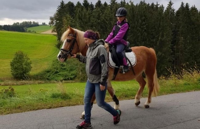 Ferienhof Löw - Photo 20