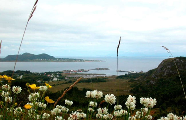 11 Person Holiday Home in Fjortoft-by Traum - Foto 45