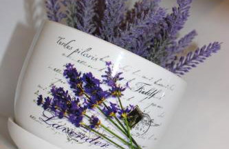 Apartment Lucky with Jacuzzi - Photo 42