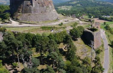 Les terrasses du château de Murol - Studio 4p au pied du château de Murol - Foto 2