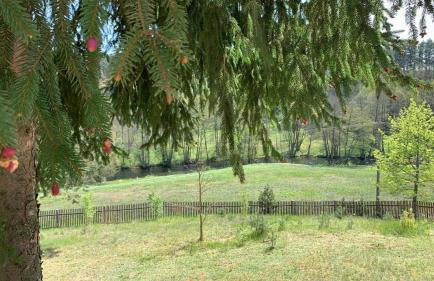 Dom Mossa - Photo 19