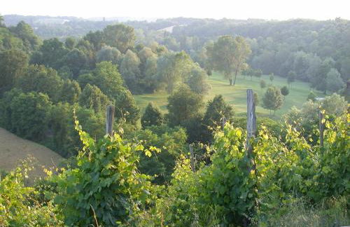 Villa Bellaria B&B - Photo 32