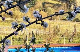 Residenza Rosmarino CASA GUARNONE - Foto 67