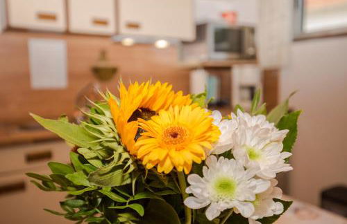 Haus Osserblick - Foto 28