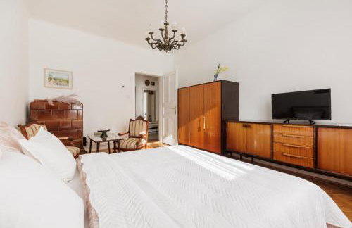 Vlaška Noir - Photo 6