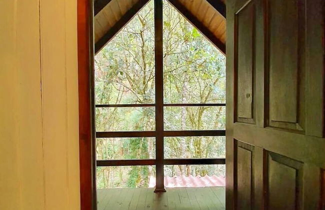 Recanto das Águas - Anitápolis - SC - Photo 65