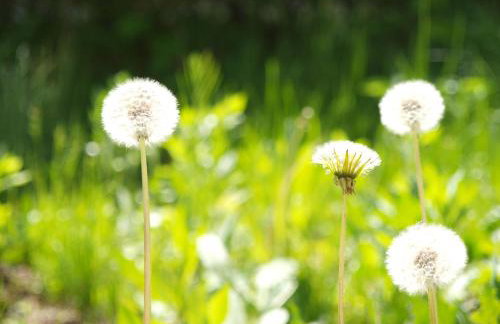 Apartment Talarowa Delux - Foto 20