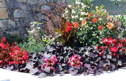 Holiday Home Demark - Foto 21