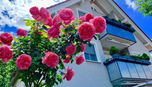 Landhaus Staffelstein - Foto 2