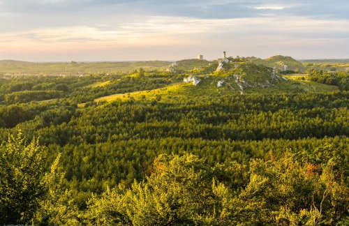 JURA DOM www SOKOLNICA PL - Foto 26