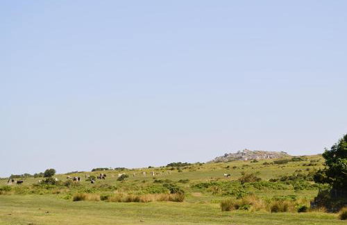 Trecarne Cottage - Foto 20