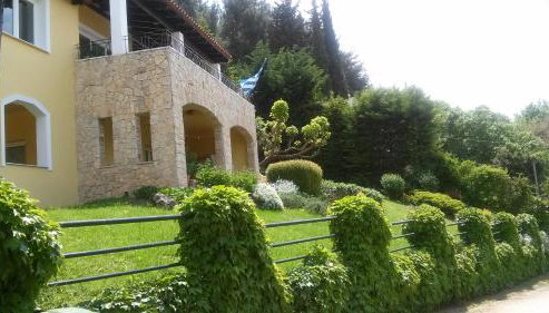 Six Steps From The Forest - Foto 5