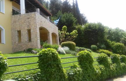 Six Steps From The Forest - Photo 5