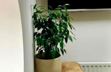 The Old Stables, The River Severn, Shrewsbury - Foto 11