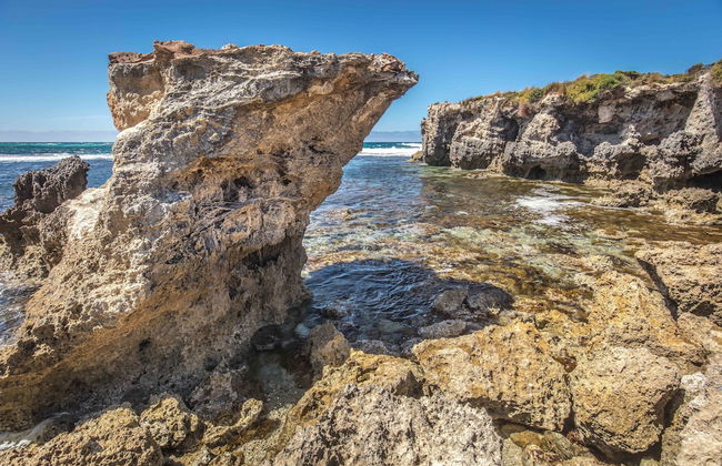 Hanson Bay Wildlife Sanctuary and Cabins - Photo 29