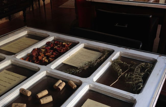 Casa Grande do Seixo - Photo 37