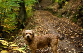 CASA BORAL- Comfort exclusivo en plena naturaleza - Valle del Silencio - Foto 20