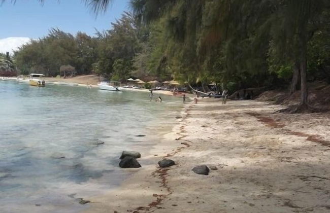 Villas De Vacances - Foto 16