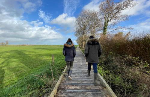 Gîte Omaha 3 étoiles - La Ferme Delaunay - Photo 41