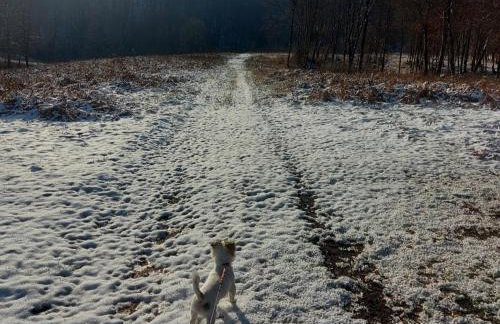 Apartment Andrea - Foto 39