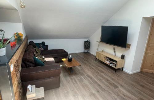 Gîte de la Belette_Montagne de La Bresse - Foto 29