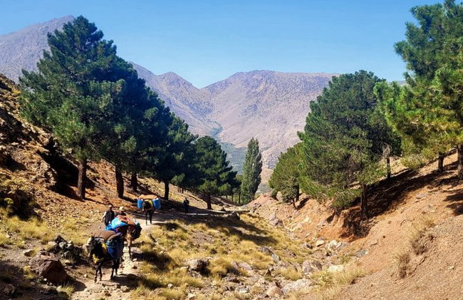 2 - Giorni di Trekking guidato in cima al Monte Toubkal - Foto 6