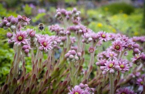 The Hidden Mill, Historic Beauty Spot and spa - Photo 32