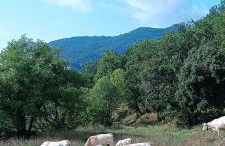 Unique natural place, Sallord, Llosa del cavall - Foto 44