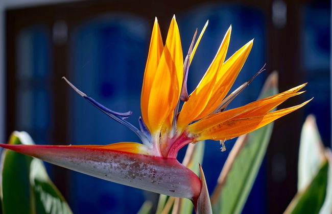 Apartamentos Plaza Azul - Photo 34