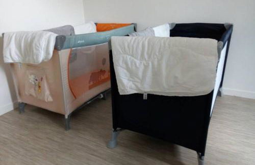 Hortillonne - Photo 21