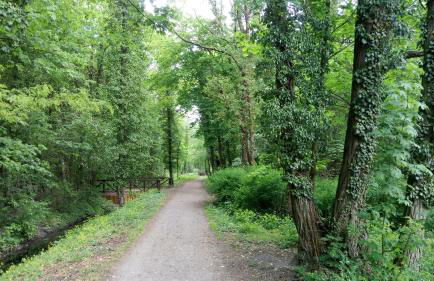 Haus Waldidyll - Foto 26