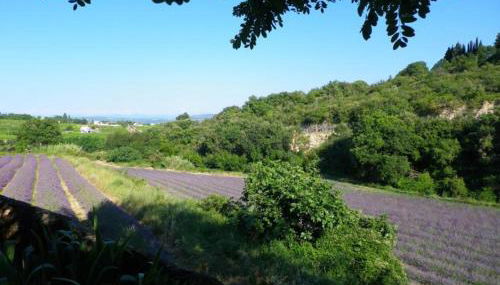 AU MAS D'EMMA - Foto 4