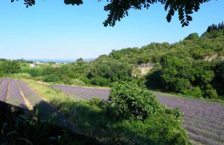 AU MAS D'EMMA - Foto 4