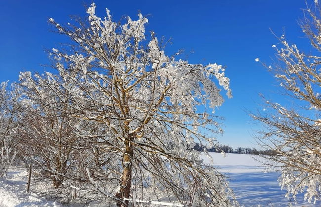 Ferienhaus mit Sauna & Spa, Huttenrode - Foto 42