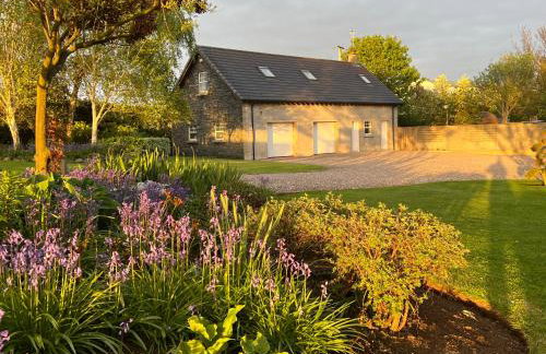 Alpaca Lodge on the North Coast - Foto 1