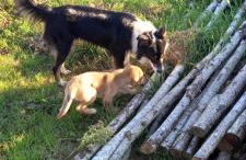 Torre del Drago - Foto 49