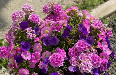 Murphys Law Inn 4 - Foto 9