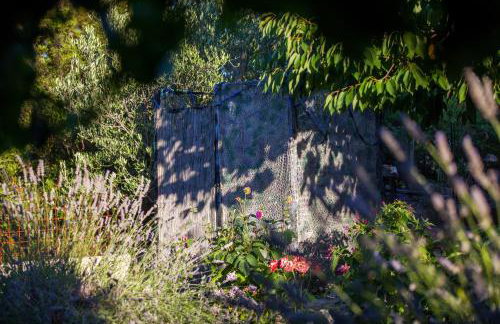 Apartments Pol Murvu - Foto 30