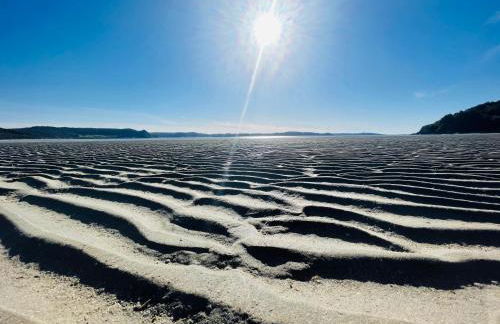 Le Courlis - Foto 12