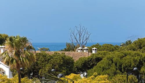 Flamenco Rose - Photo 4