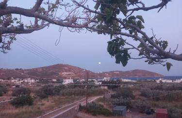 Salty Yard Holiday Home - Foto 12